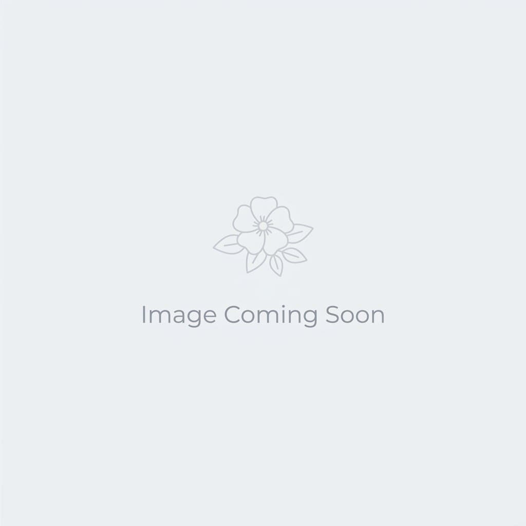 Golden Glow Festive Gifts Set