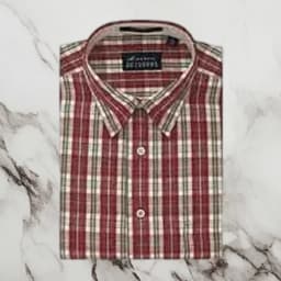 Casual Elegance: Allen Solly Check Shirt 1
