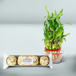 Lucky Bamboo & Gourmet Chocolate Indulgence 1