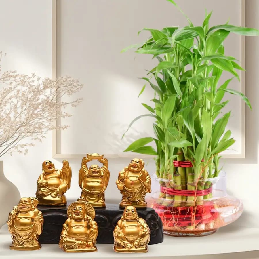 Serenity Bundle: Bamboo & Buddha Delight