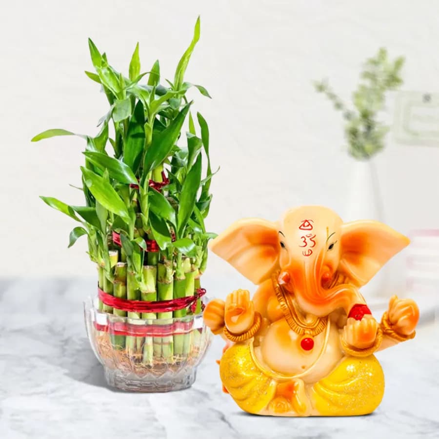 Fortune & Wisdom: Lucky Bamboo with Ganesh Statue