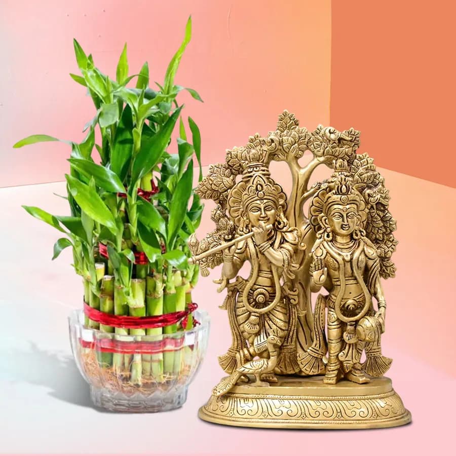 Elegant Radha Krishna Blessing Set