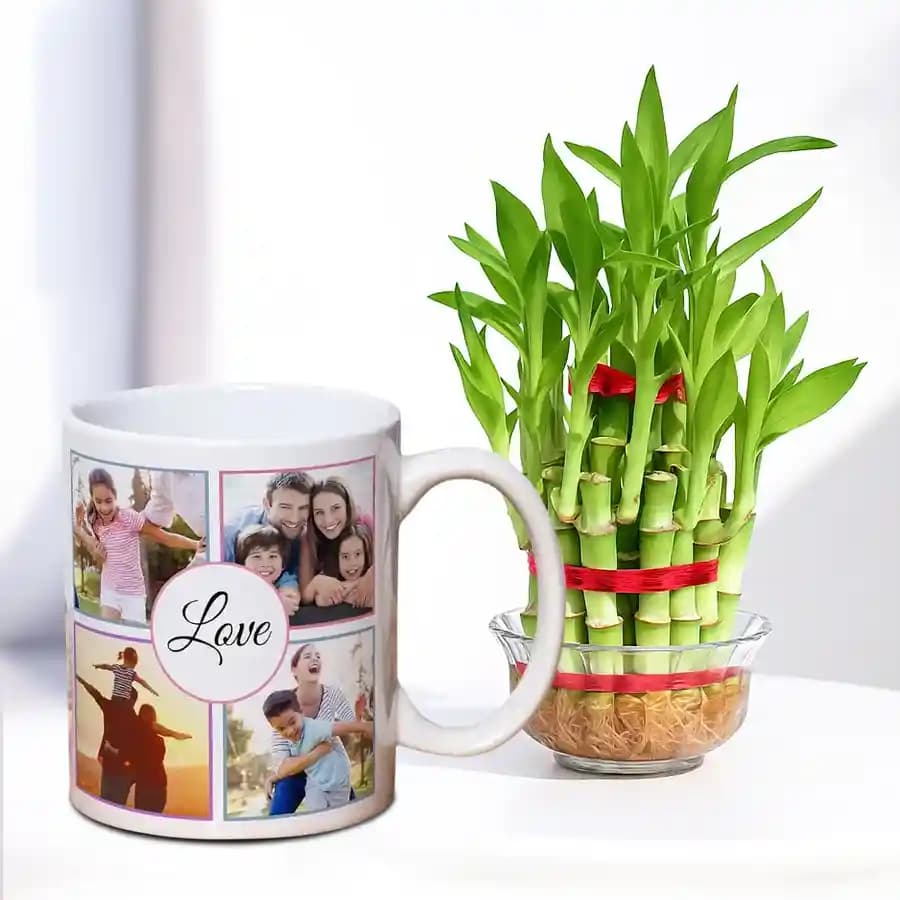 Charming Green Bamboo Gift in Customized Mug