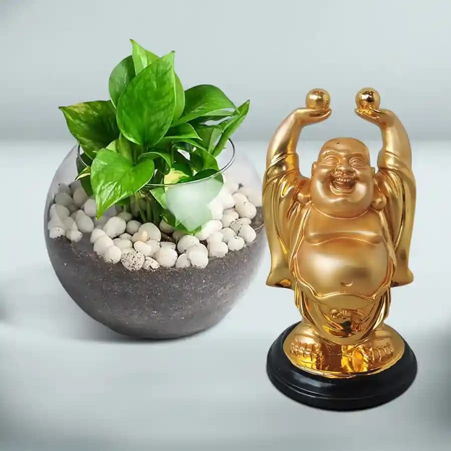 Harmony of Zen: Buddha & Money Plant