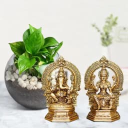 Tranquil Prosperity with Money Plant & Divine Duo 1