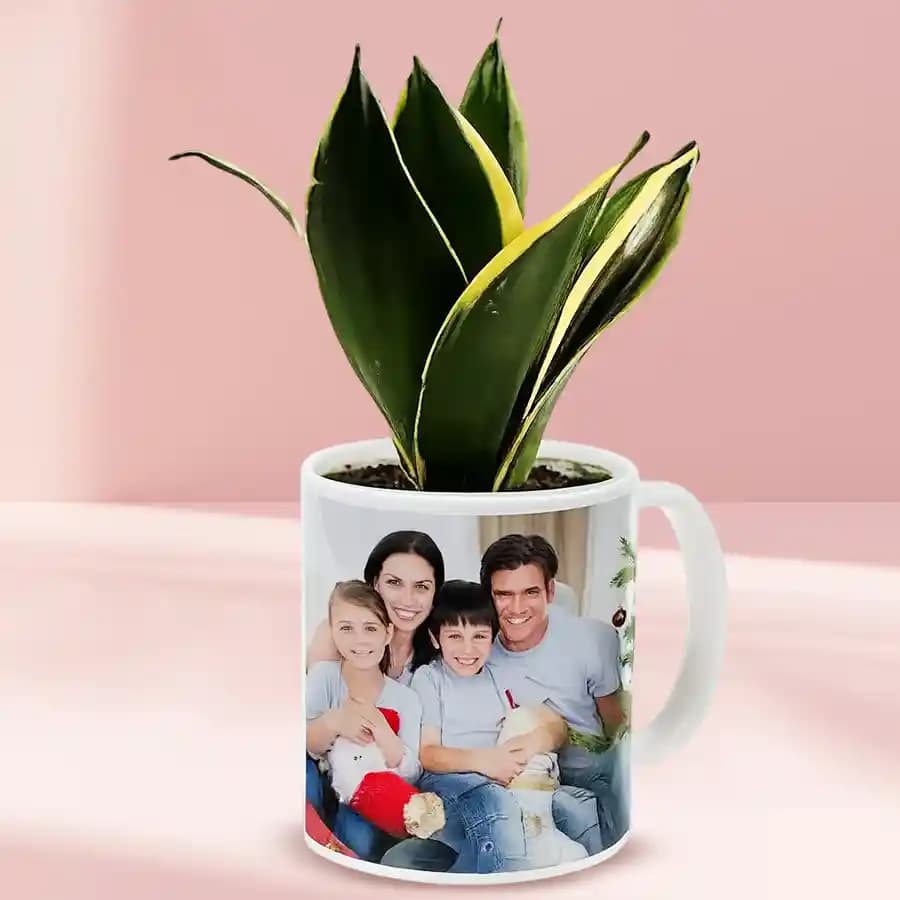 Customizable Nature Mug with Milt Sansevieria