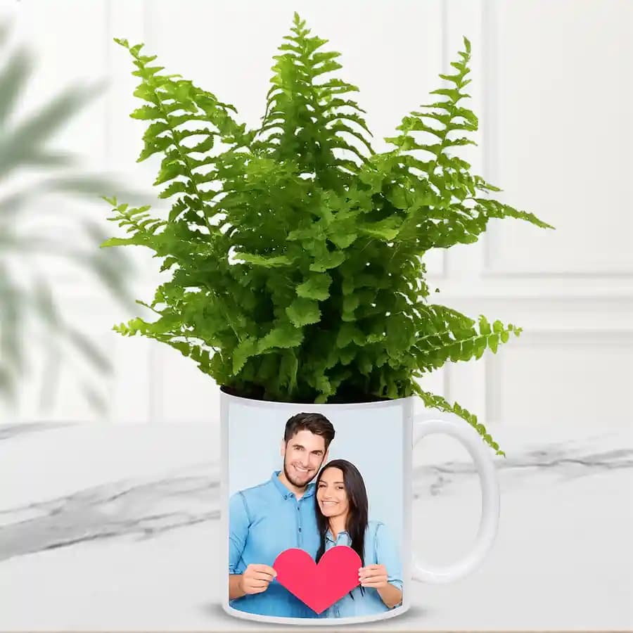 Cherished Moments: Fern & Mug Gift Set