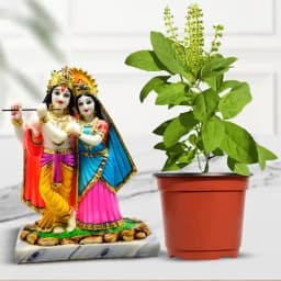 Sacred Harmony: Tulsi Plant with Radha Krishna Figurine 1