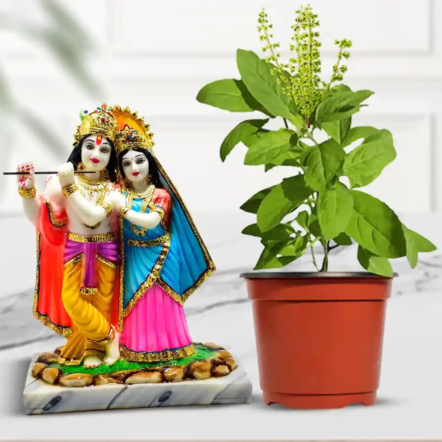 Sacred Harmony: Tulsi Plant with Radha Krishna Figurine