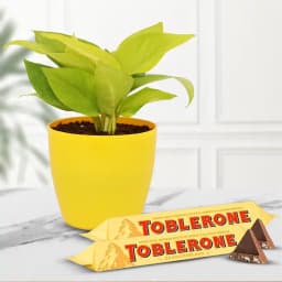 Prosperity Plant with Gourmet Chocolate Duo 1