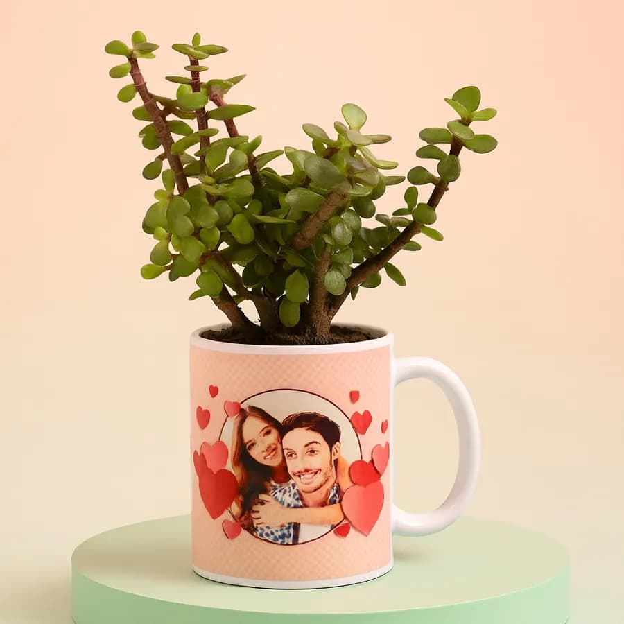 Personalized Jade Plant in Customized Mug