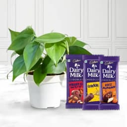 Serene Greens and Sweet Treats 1