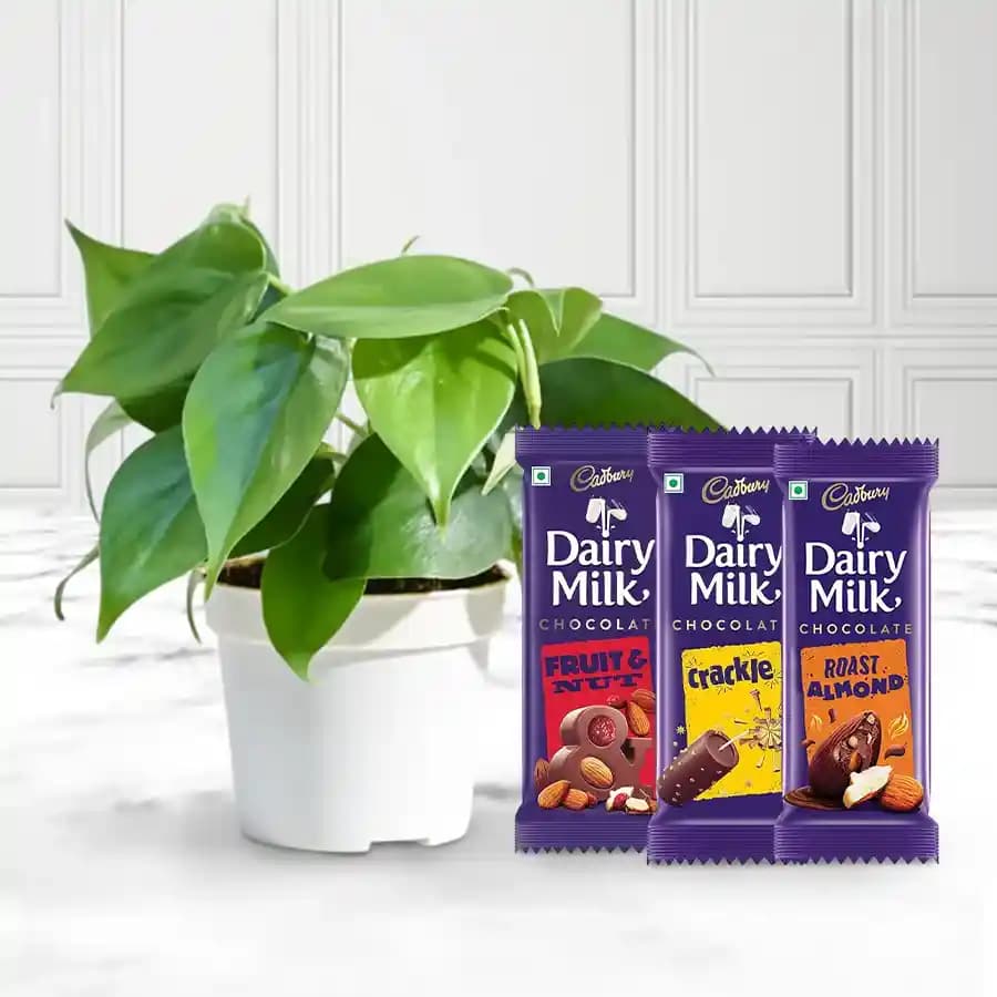 Serene Greens and Sweet Treats