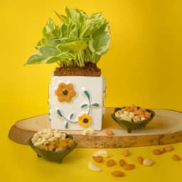 Nature's Essence and Gourmet Bliss Set 1