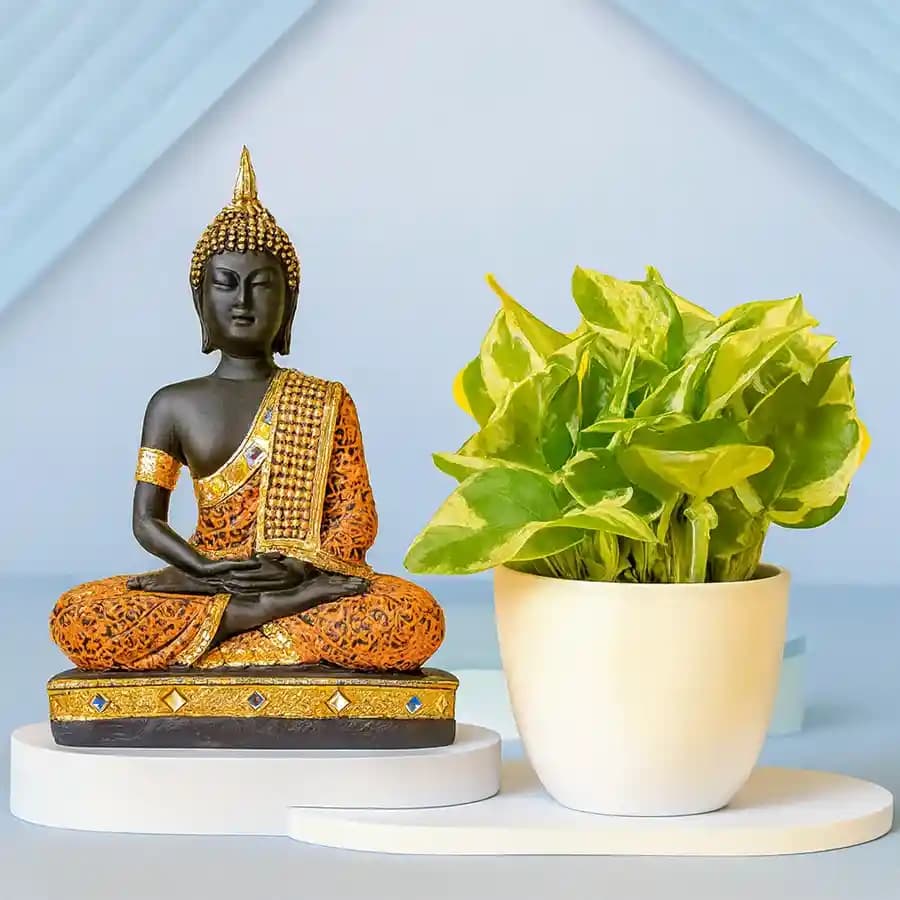Zen Garden Essentials: Serenity Set