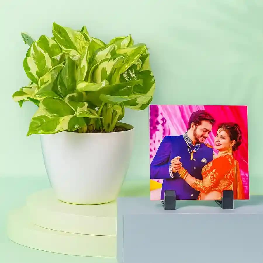 Bring Nature Indoors with Pothos & Personalized Photo Gift