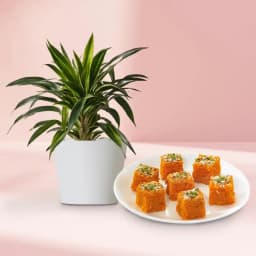 Charming Nature & Sweet Indulgence 1