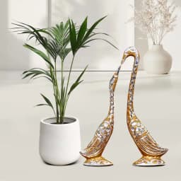 Charming Green Duo: Love Birds with Kentia Palm 1