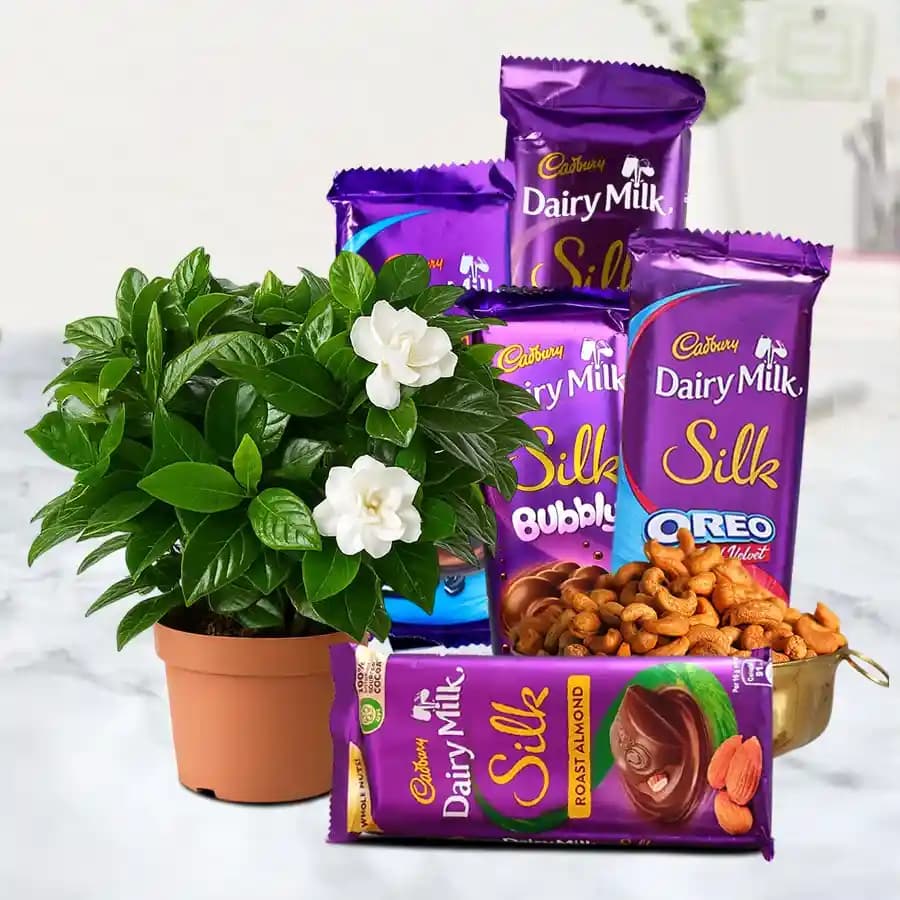 Vibrant Portulaca Delight & Sweet Treats Bundle