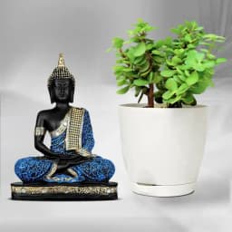 Tranquil Jade & Buddha Duo 1