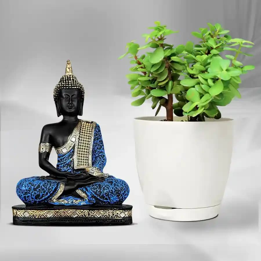 Tranquil Jade & Buddha Duo