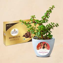 Green Bliss with Gourmet Chocolate Delight 1