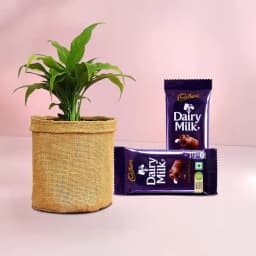 Charming Peace Lily in Jute with Gourmet Chocolate Treats 1