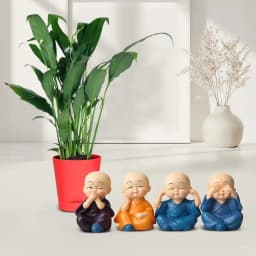 Soothing Peace Lily & Joyful Buddha Duo 1