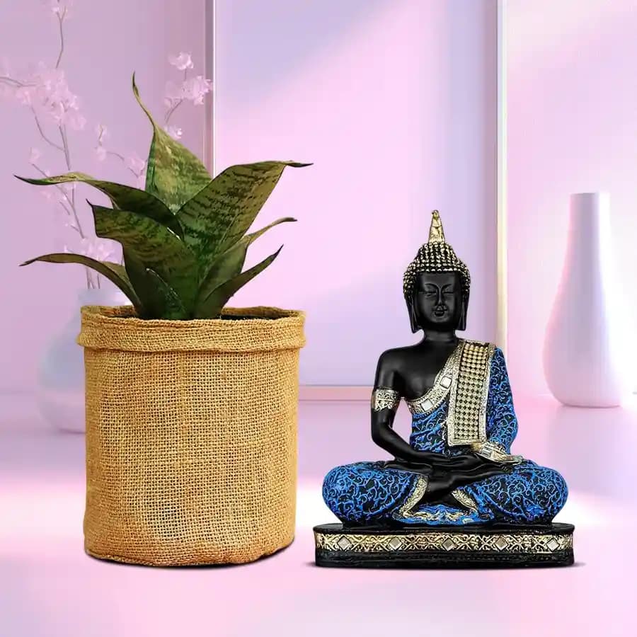 Buddha's Serenity with Snake Plant Delight