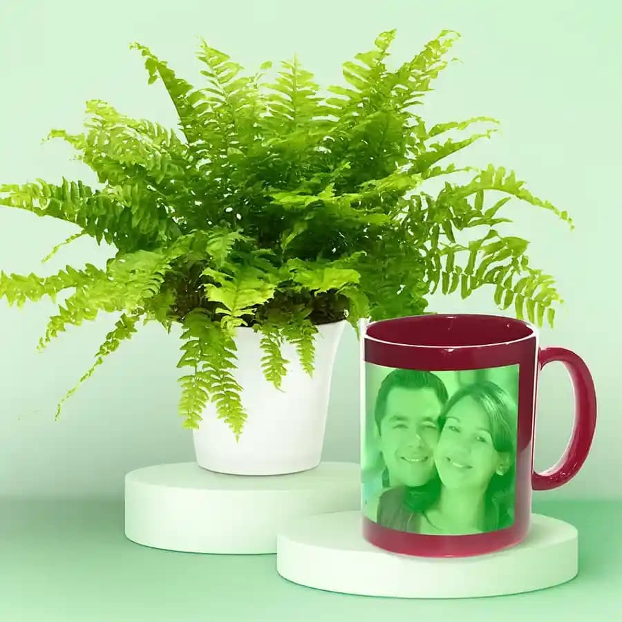 Customizable Fern & Ceramic Mug Gift Set