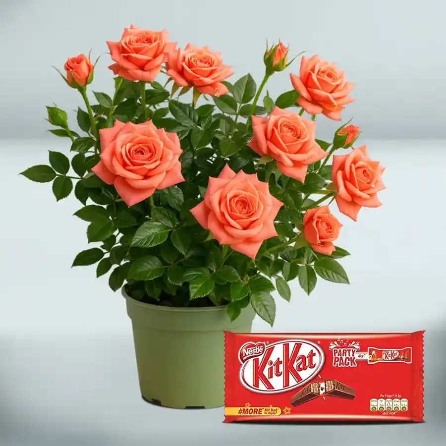 Blooming Joy Gift Set with Chocolate Indulgence