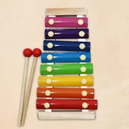 Eco-Friendly Musical Xylophone for Young Explorers 1