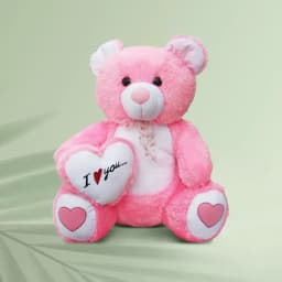 Joyful Cuddles Plush Bear 1
