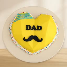Hearty Pinata Cake for Dad 1
