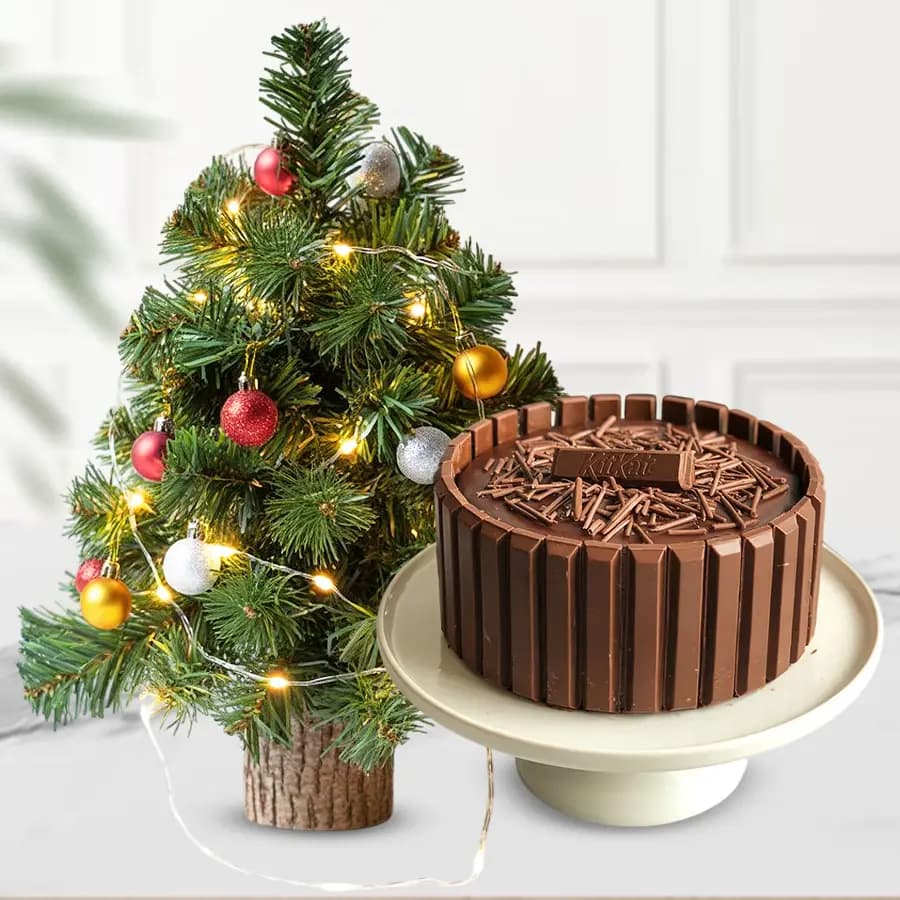 Chocolate Coated Kitkat Cake with X_Mas Tree