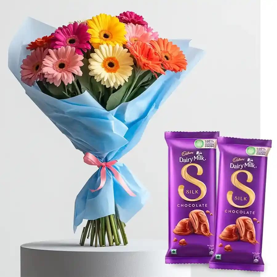 Arrangement of Assorted Gerberas with Dairy Milk Silk