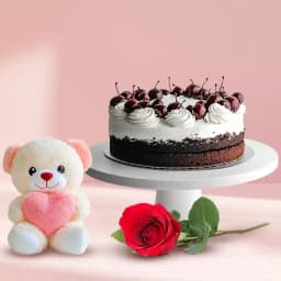 Single Red Rose with Teddy N Black Forest Cake 1