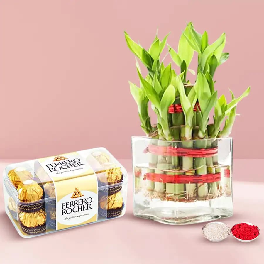 2 Tier Bamboo Plant N Ferrero Rocher Chocolates