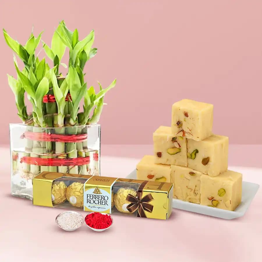 Bamboo Plant with Ferrero Rocher Chocos N Soan Papdi