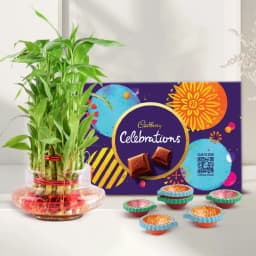 3 Tier Lucky Bamboo in Glass Pot Cadbury Celebrations N Diya 1