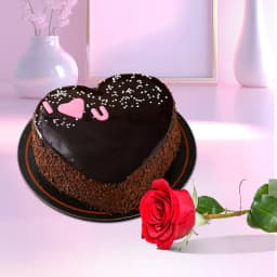 Finest Chocolate Mud Love Cake N Single Red Rose Combo 1