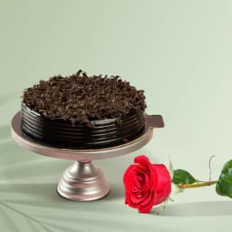 Resplendent Chocolate y Delight Cake with Single Red Rose 1