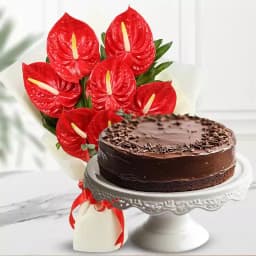 Lovely Combo of Anthurium Bouquet with Chocolate Cake 1