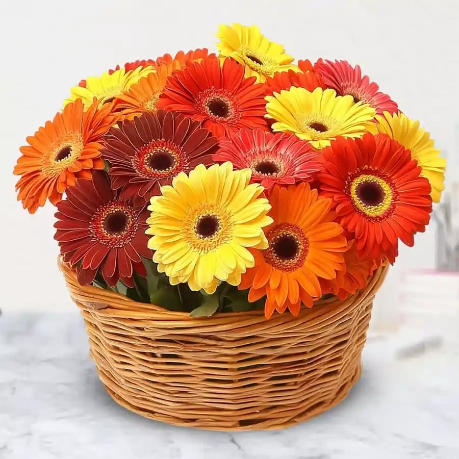 Beautiful Gift Basket of Mixed Gerberas