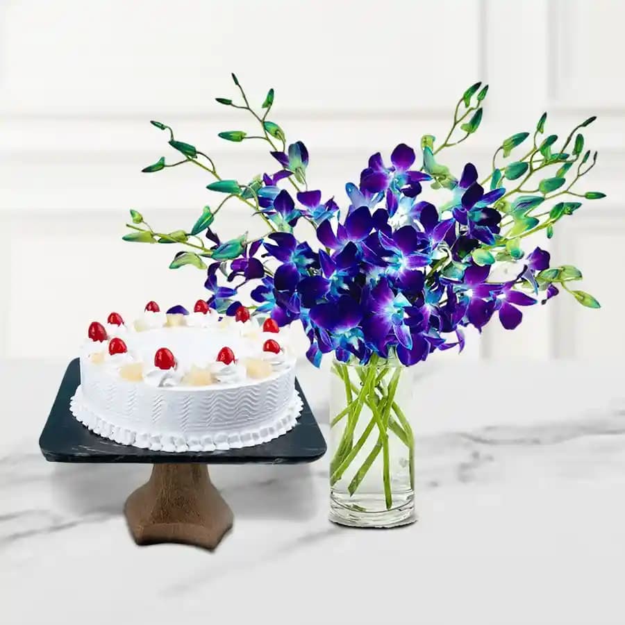 Blossoming Blue Orchids in Vase with White Forest Cake