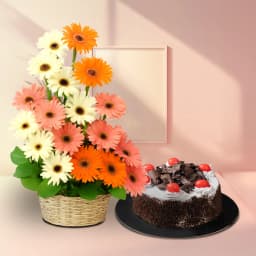 Gorgeous Tall Basket of 25 Mixed Gerberas with Black Forest Cake 1