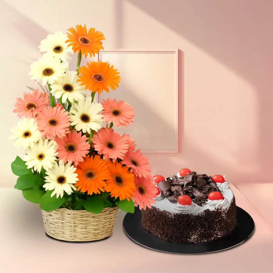 Gorgeous Tall Basket of 25 Mixed Gerberas with Black Forest Cake