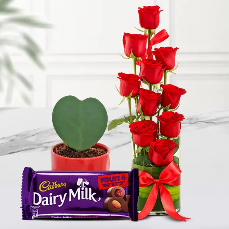 Hearty Choice Red Roses in Vase Hoya Heart Plant n Cadbury Fruit n Nut