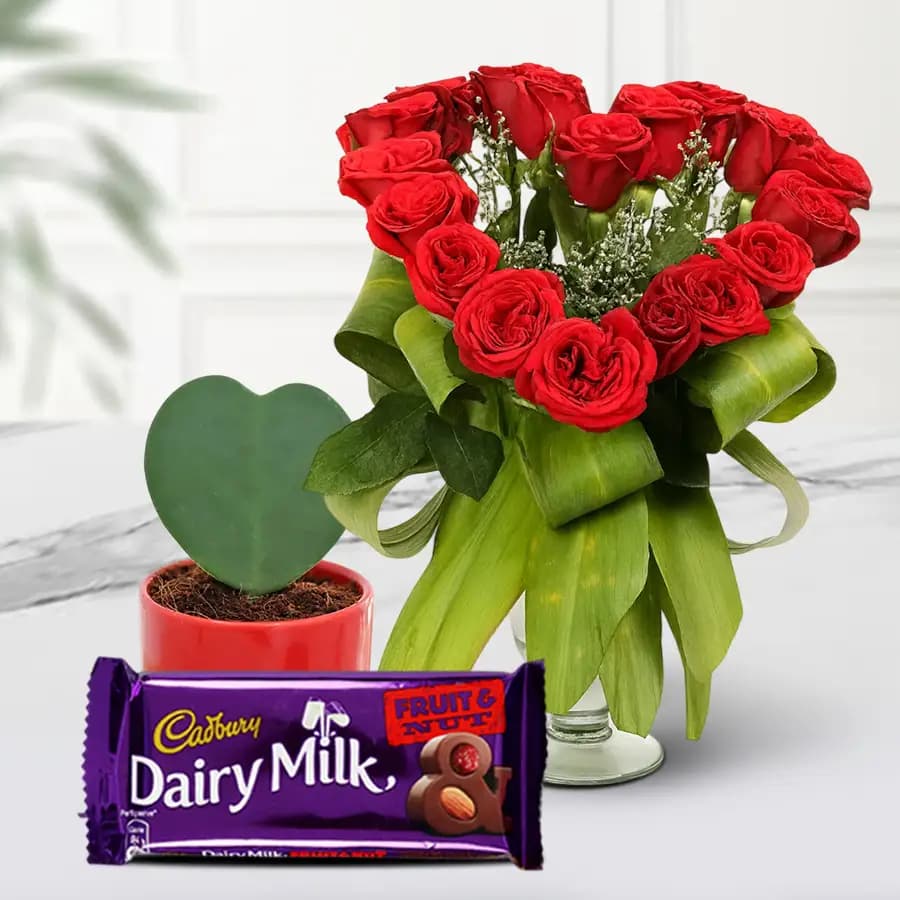 Delightful Combo of Heart Shape Red Roses Cadbury Chocolate N Hoya Heart Plant