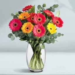 Lovely Gerberas Vase Arrangement 1
